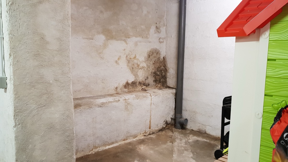 Infiltrations d'eau - Expertise humidité à Metz